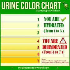 urine color chart dehydration water challenge gallon