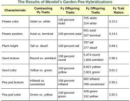 A dihybrid cross involves the crossing of just one trait. Openstax Biology Ch12 Mendel S Experiments And Heredity Top Hat