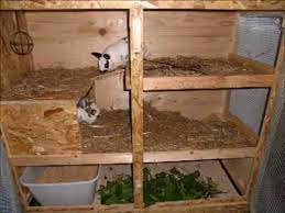 Platzbedarf der kaninchen der optimale kaninchenstall futter und ernährung kaninchenrassen hier lesen. Kaninchen Stall Fur Innen Selbst Gebaut Youtube