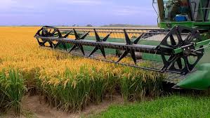 La humedad es vapor de agua en el aire que proviene de la evaporación de mares y océanos. Arroz El Clima Acompano Y Se Preve Una Buena Campana En Corrientes Agroempresario Com