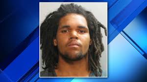 Man, 18, accused of beating woman, killing puppy