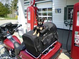 Pick up your dog, and go for a short ride around the city! Soft Sided Motorcycle Dog Carrier Harley Davidson Dog Dog Carrier Pet Carriers