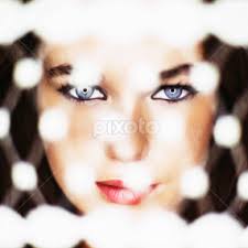 Albert Bitton's Profile