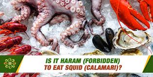However, if a fish was to die due to some external cause such as cold, heat, being thrown to the shore by the water, colliding with a stone, etc, then it would be halal. Is It Haram Forbidden To Eat Squid Calamari Questions On Islam