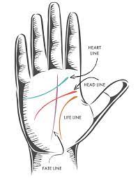 Life line on your palm. The Four Major Lines Be Your Own Palm Reader Ryland Peters Small Rylandpeters