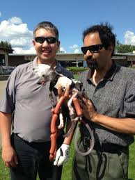 Garth Burns (@burns_garth)