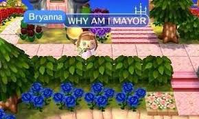 Bush Path Animal Crossing New Leaf Acnl Bushes