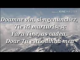 Au fost expuse public rămășițe umane pentru aducere aminte. Eu De Tine Am Nevoie Negativ Bbso Chords Chordify