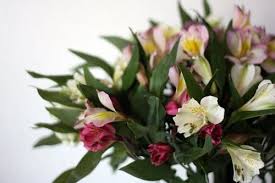 Astramaris With Images Floral Wedding Flowers Floral