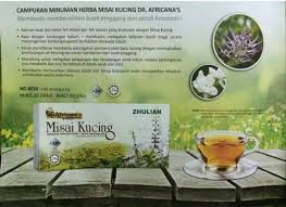 Khasiat dan kelebihan misai kucing (orthosiphon stamineus). Produk Zhulian Teh Herba Misai Kucing Facebook