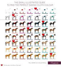 horse riding equine equestrian shop fouganza by decathlon outfit facts coloriage de masques pj