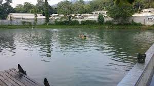 Rooms available at suria hot spring resort, bentong. Suria Hot Spring Bentong Hotel Picture Of Eryabysuria Hot Spring Bentong Tripadvisor