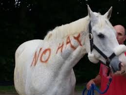 Tornadoes, cyclones, and other storms with strong winds damage or destroy many buildings. Pro Equine Grooms How To Mark Your Horse For A Trip Or Emergency