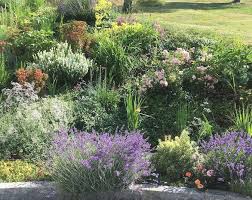 Der Hanggarten In 2020 Garten Am Hang Garten Bepflanzung