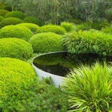 Diarmuid Gavin International Garden Designer Ian Barker Gardens Water Features In The Garden Diarmuid Gavin Chelsea Flower Show