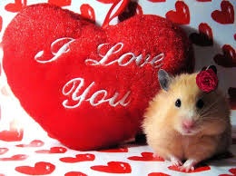 I Love You Heart Wallpapers Wallpaper Cave ✓ free for commercial use ✓ high quality images. i love you heart wallpapers wallpaper