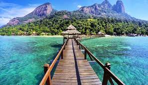We did not find results for: Senarai 10 Penginapan Resort Terbaik Dan Selesa Di Pulau Tioman