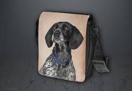 Image result for auvergneský ohař