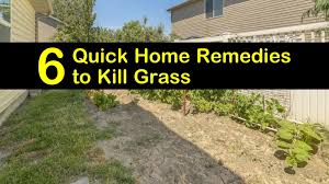 Next, you are going to need your supplies. 6 Quick Diy Remedies To Kill Grass