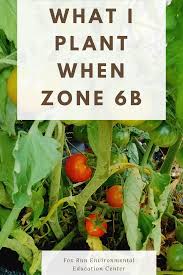 How to choose plants for your southern garden. My Planting Schedule Zone 6b Fox Run Environmental Education Center Plants Starting A Garden Gardening Zones