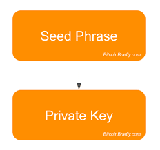 Select wallet > three dots > show wallet xpub; The Ultimate Guide To Bitcoin Wallets Seeds Private Keys Public Keys And Addresses