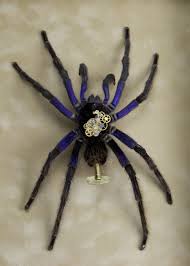 This withdrawal in no way affects other certificate holders certified under the codemark australia certification scheme. Creepy Crawly Toowoomba Search Form