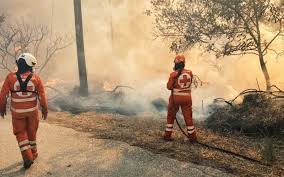 Αλεξανδρούπολη:Ο Ερυθρός Σταυρός στην πρώτη γραμμή μάχης με τη φωτιά (ΦΩΤΟ) | Typosthes