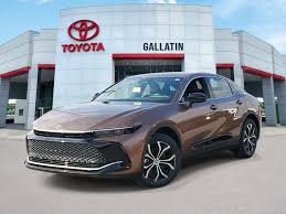 Image result for Bronze Age 2024 Crown