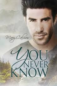 You Never Know by Mary Calmes