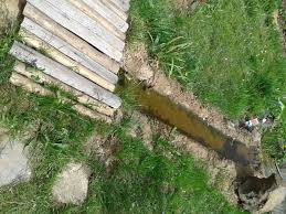 Weitere ideen zu bachlauf, wasser im garten, bachlauf im garten. Bachlauf Im Garten Einen Bachlauf Anlegen Und Eine Kleine Oase Schaffen Wohnen Heimwerken
