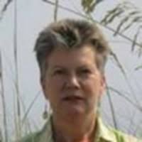 DIANE SIMS — Reviews & Property Sales