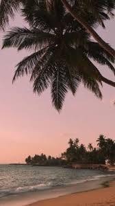 Iphone Wallpapers Tumblr Tree Wallpaper Iphone Beach Wallpaper Iphone Beach Wallpaper