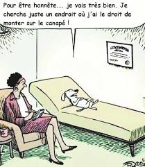 Le Divan En Reve Le Sens Humour Memes Photos Amusantes