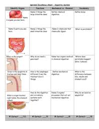 How does my digestive system work? Student Exploration Digestive System