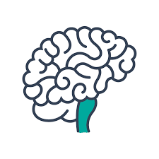 We did not find results for: Bookbrain Stem Nuclei Bookbrain Stem Nuclei Oxford Handbook Of The Auditory Brainstem Oxford Handbooks The Medulla Houses Essential Ascending And Descending Nerve Tracts As Well As Brainstem Nuclei Motor Control