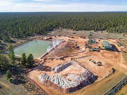The activist's guide to uranium mining. A Critical Battle Over Uranium Mining In The Grand Canyon Area Bulletin Of The Atomic Scientists