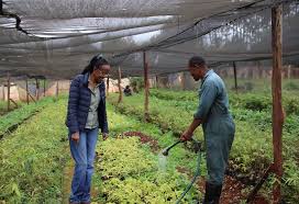 They were thrilled and proud to share with family. Climate Action Stories