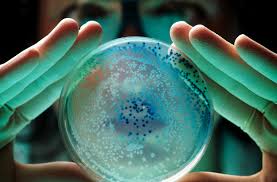 نتیجه جستجوی لغت [science] در گوگل