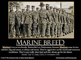  Pin By Jim Swords On All Things Marine Usmc Quotes Marine Corps Quotes Marine