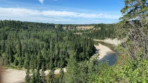 Coal Lake Campground | Camping Near Coal Lake South Park, Alberta 822,  County Of Wetaskiwin No. 10, Ab, Canada | Let'S Camp