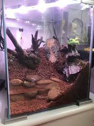 Paludarium Pour Des Crabes Vampires