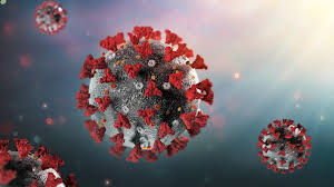 As human civilizations rose, these diseases struck them down. When Will The Pandemic End 2021 Covid 19 Future Wusa9 Com