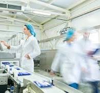 How Do Production Lines Help Meal Preparation