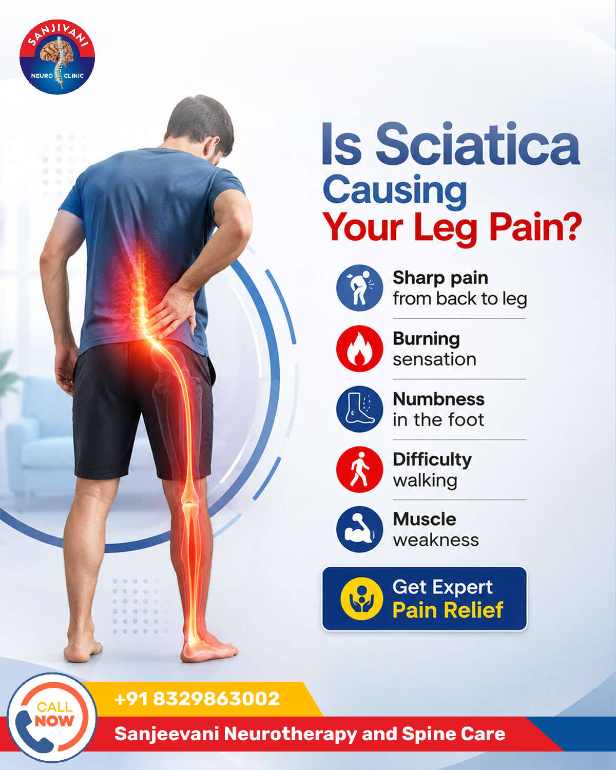Sciatica Nerve product image