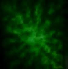 Background hijau polos from … Jual Kain Background Polos Hitam 2 5x3m Di Lapak Sara T A Foto Aksesoris Bukalapak