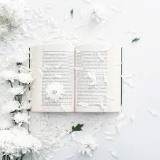 ellenieva white aesthetic book photography book aesthetic