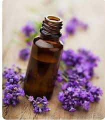 Lavanta Yagi Saca Nasil Uygulanir Essential Oils For Colds Lavender Essential Oil Uses Best Essential Oils