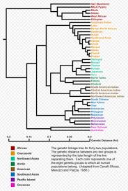 Pin By Ryan Casey On Dna And Genetic Genealogy Central American Indians North American Indians American Indians