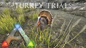 It was originally broadcast on pbs and later rebroadcast on pbs kids. Ark Survival Evolved Turkey Trial Super Turkeys Wishbones And Chieftan Hats Youtube