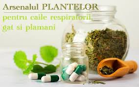 Adaugă Pin Pe Sanatate
